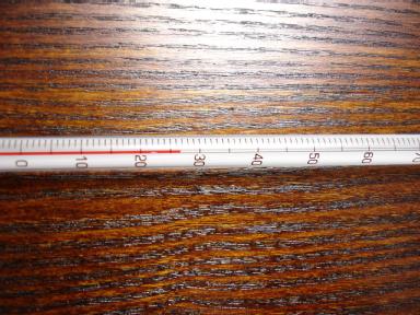 Tee-Thermometer