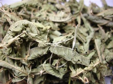 Verbena (whole leaves)