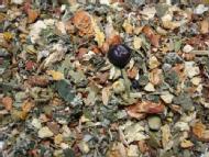 Ayurveda - Womans Tea Mix -